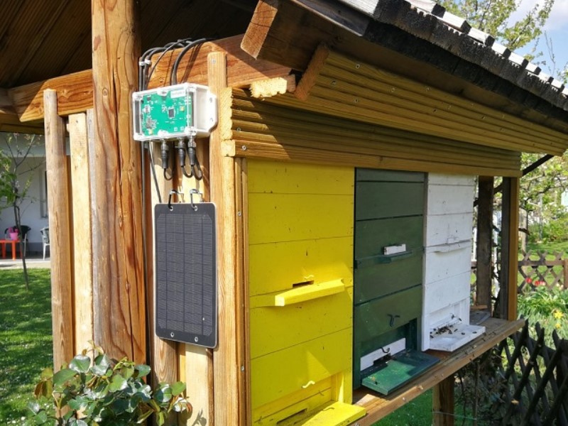 Weigh your beehive with a scale that uses a mobile app.